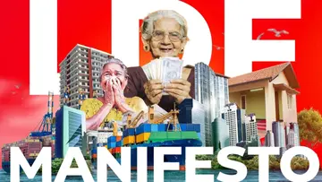 LDF Manifesto