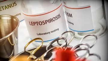 Lepro