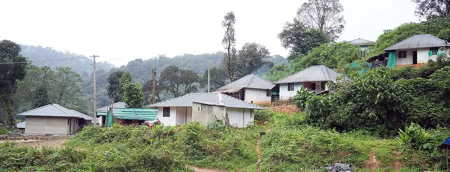 ലെെഫ് ഇടമലക്കുടി