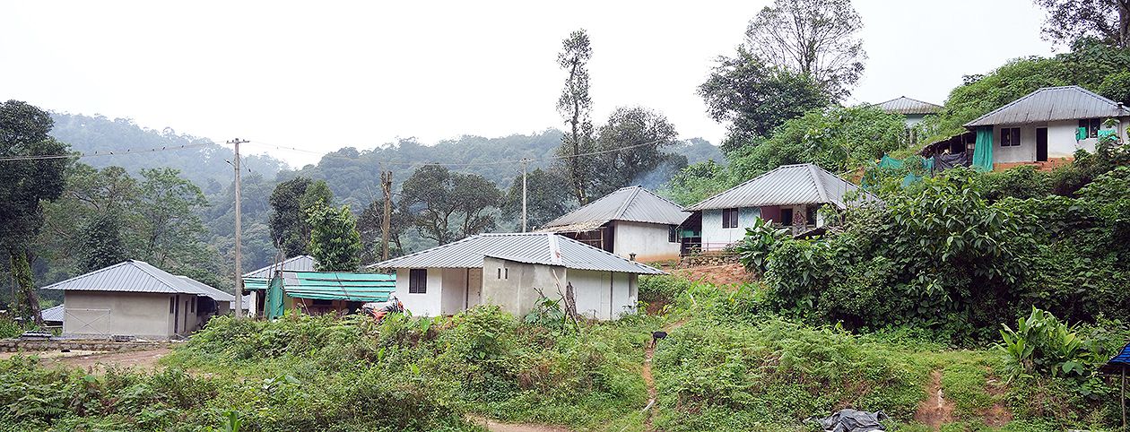 ലെെഫ് ഇടമലക്കുടി