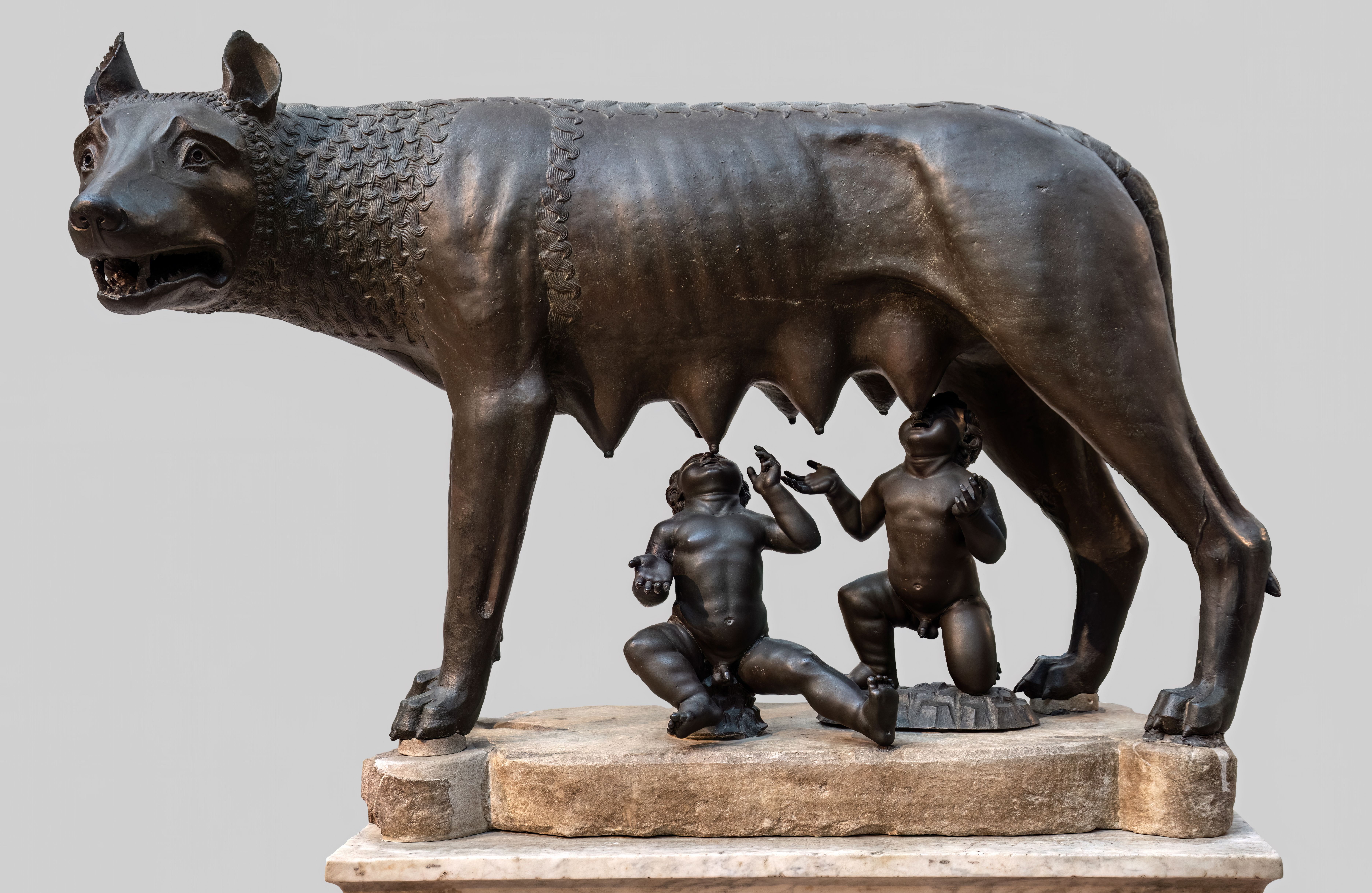 dire wolves