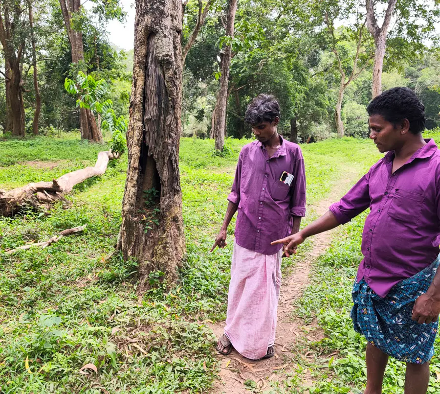 രക്തംവാർന്ന്‌ ആദിവാസി ബാലന്റെ മരണം 