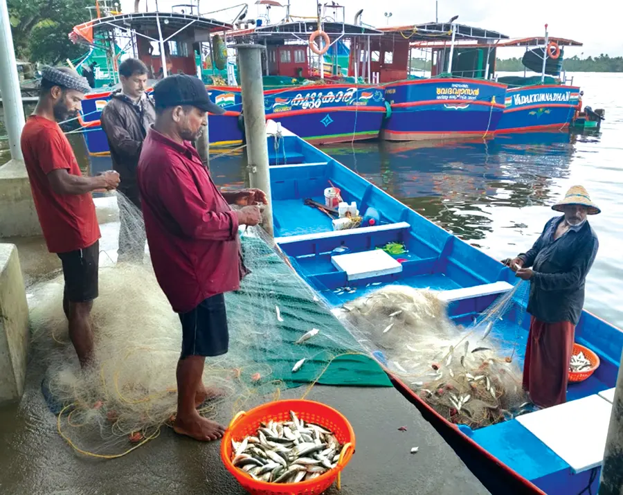 മീൻ കോളില്ലാതെ അഴീക്കോട് ഫിഷ് ലാൻഡിങ് സെന്ററിലെത്തിയ വഞ്ചി