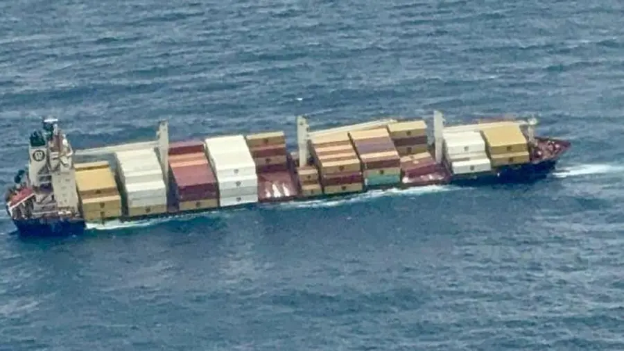 MSC Elsa 3.jpg