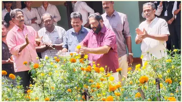 Marigold Harvest Festival