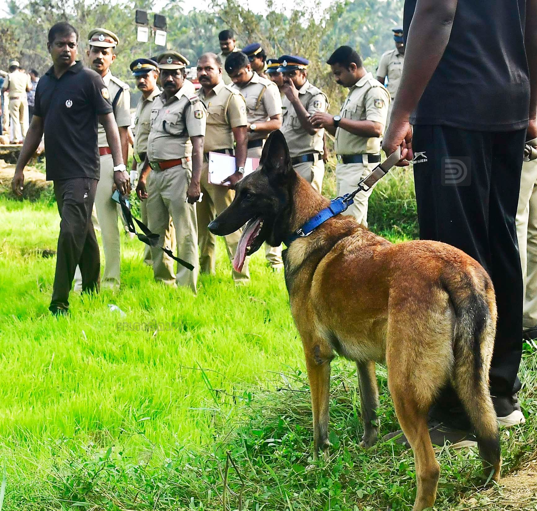 MUNDATHIKODE BLAST CADAVER DOG NOT SIZED