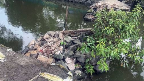 Murikkuthara Bridge has collapsed.