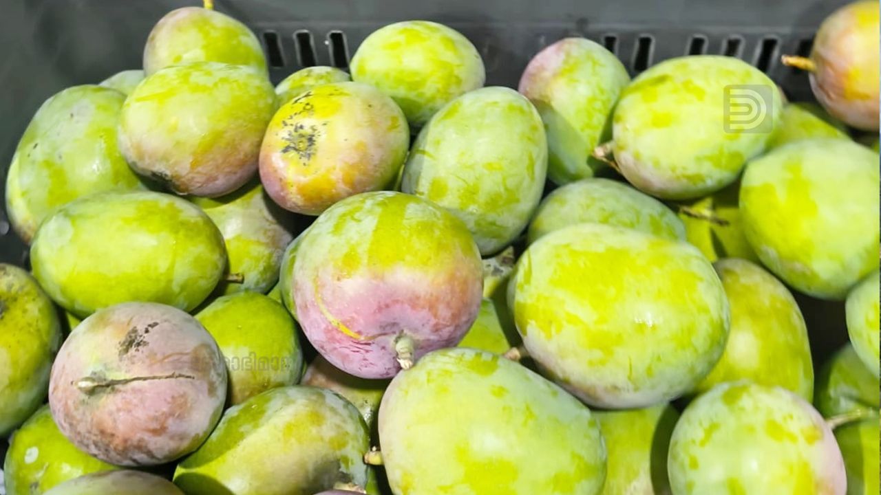 Mangos