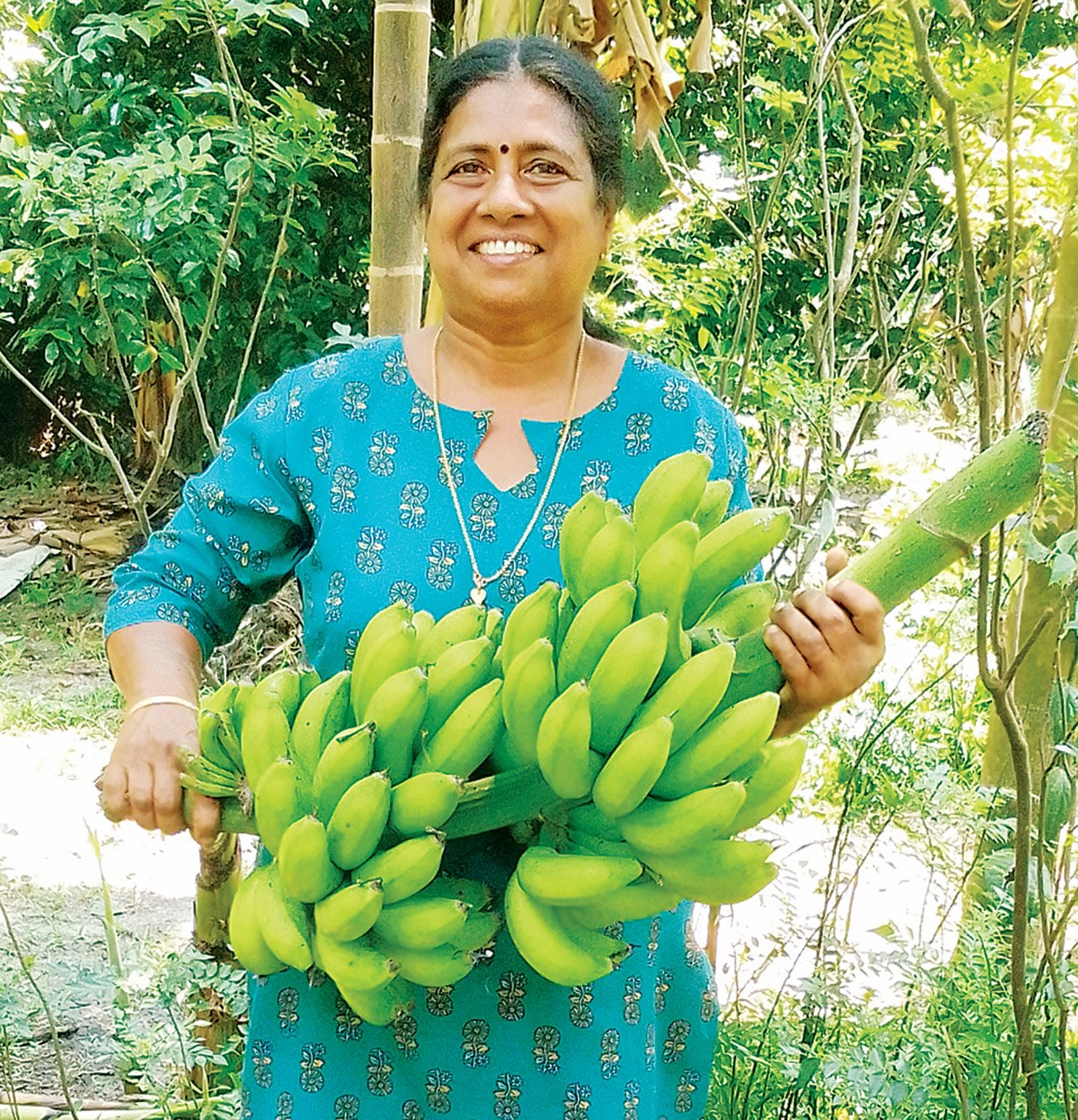 അക്ഷയശ്രീ അവാർഡ് ലഭിച്ച റിട്ട. അധ്യാപിക ഇ പി മിനികുമാരി  കൃഷിയിടത്തിൽ 