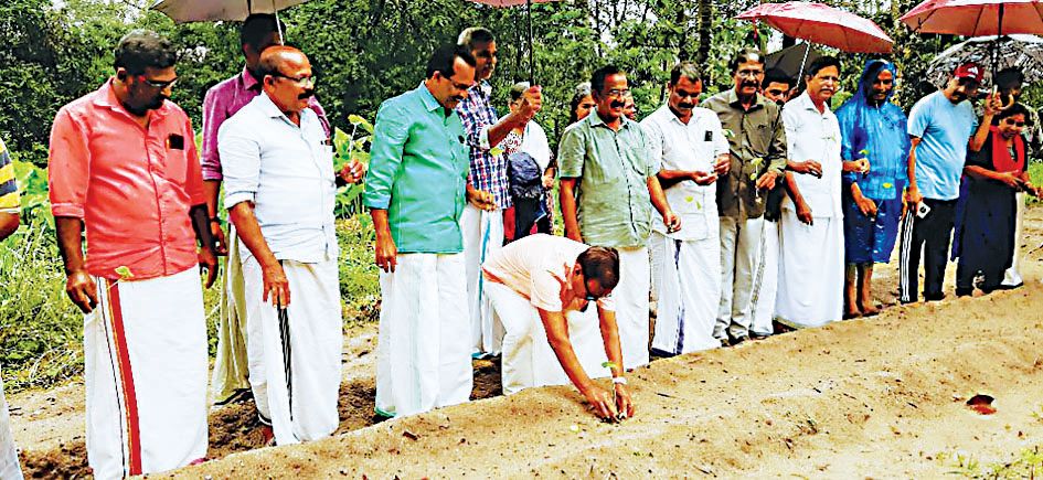Integrated Agriculture Campaign Mararikulam Area Committee led by Vegetable Seedbed Area-level inauguration conducted by Kisan Sabha National Committee Member G Venugopal