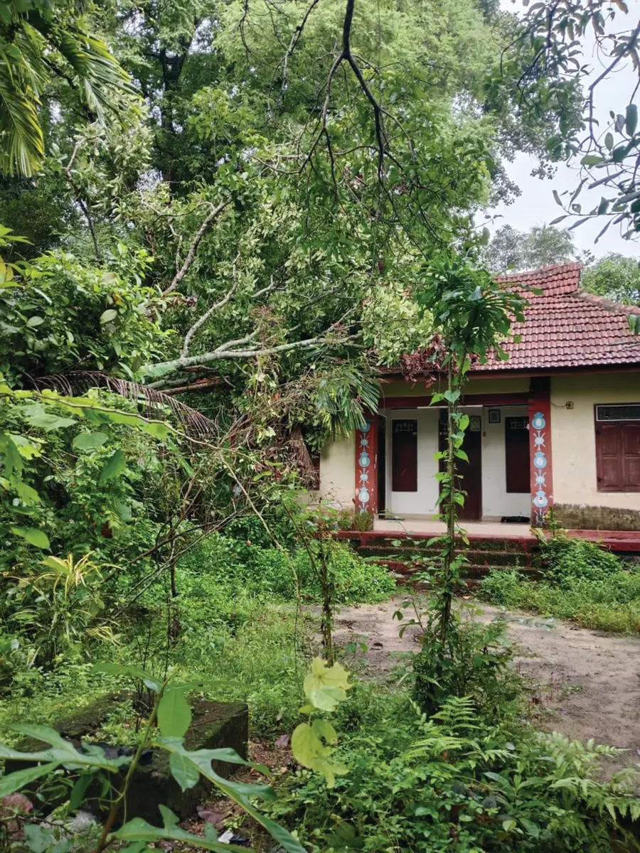 അരൂർ ഏഴാം വാർഡ് വലിയകുളത്തിങ്കല് വാസുദേവന് പിള്ളയുടെ
വീടിന് മേല് മരം വീണപ്പോൾ