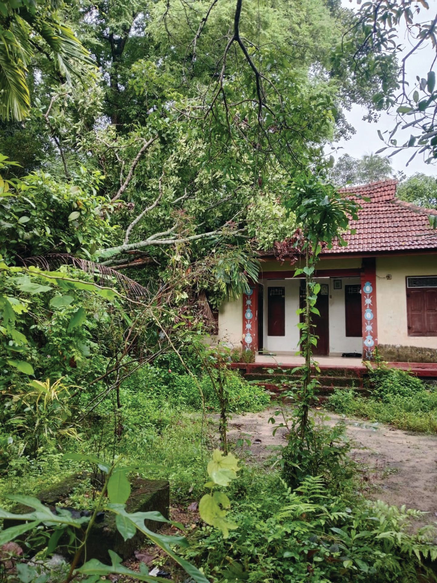 അരൂർ ഏഴാം വാർഡ് വലിയകുളത്തിങ്കല്‍ വാസുദേവന്‍ പിള്ളയുടെ  വീടിന് മേല്‍ മരം വീണപ്പോൾ