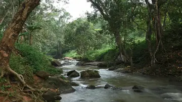 Meenpidipara