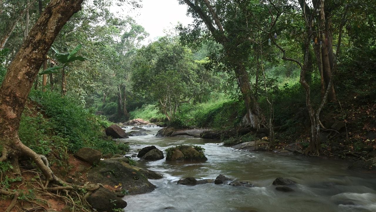 Meenpidipara