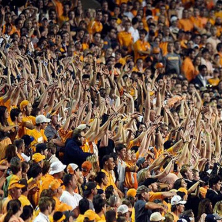 Mexican Wave 2.jpg