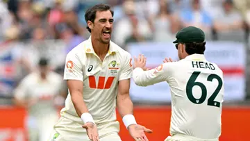 Mitchell Starc in ashes
