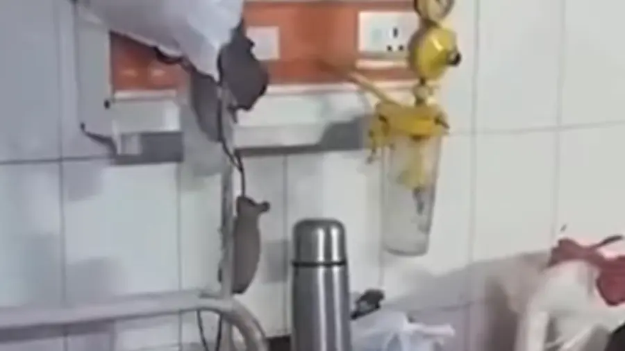 Mouse in UP