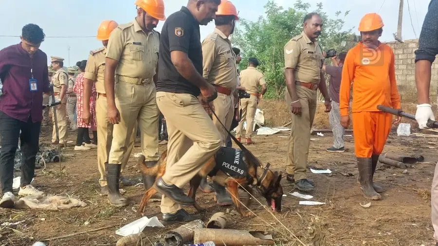 Mundathikode Blast cadaver dogs