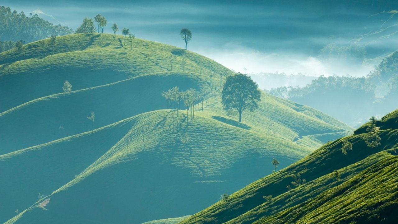 Munnar