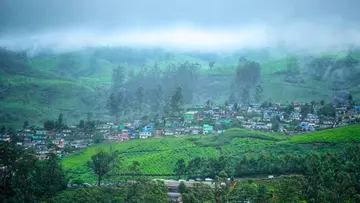 Munnar.jpg