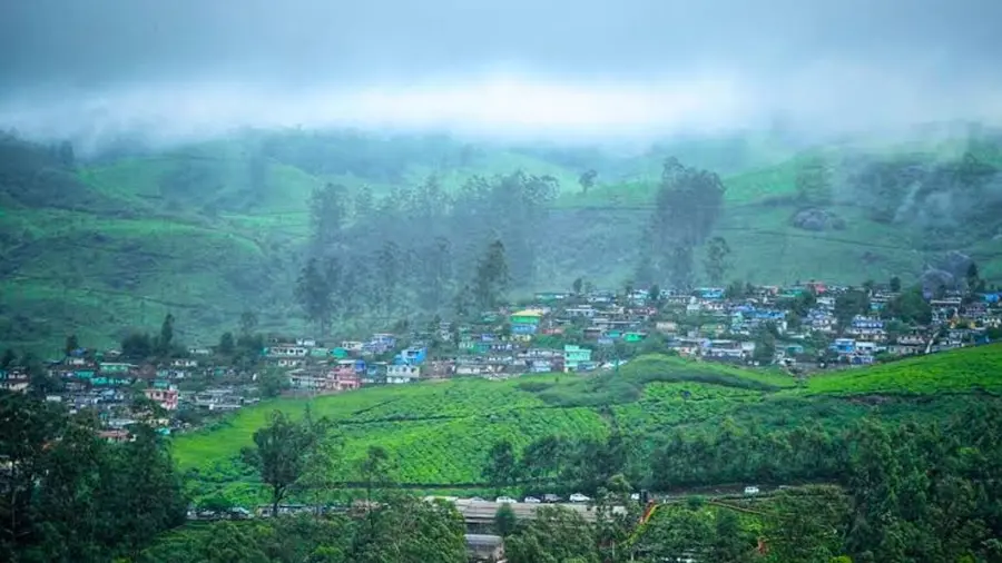 Munnar.jpg