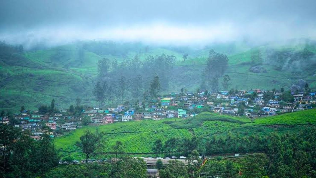 Munnar.jpg
