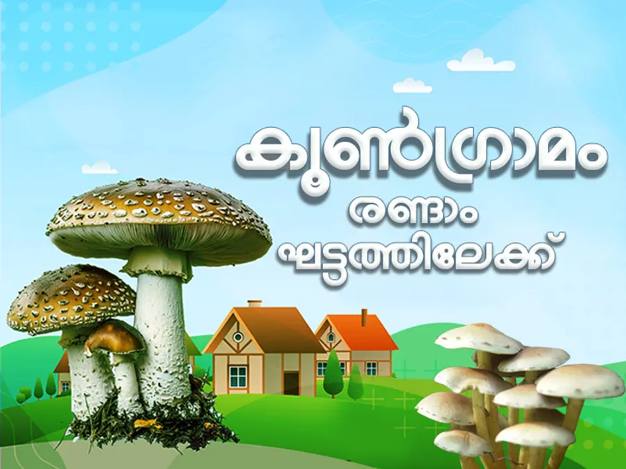 Mushrooms will now bloom in the villages