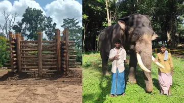 Muthanga.jpg