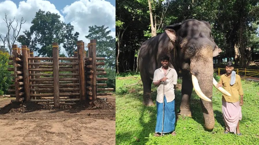 Muthanga.jpg