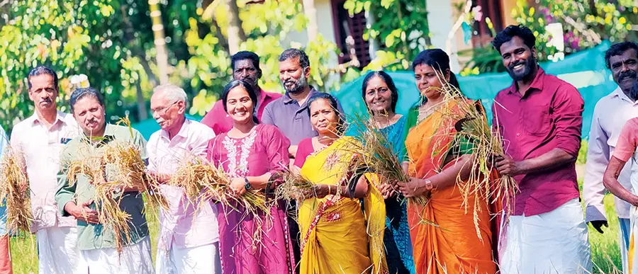 harvest festival