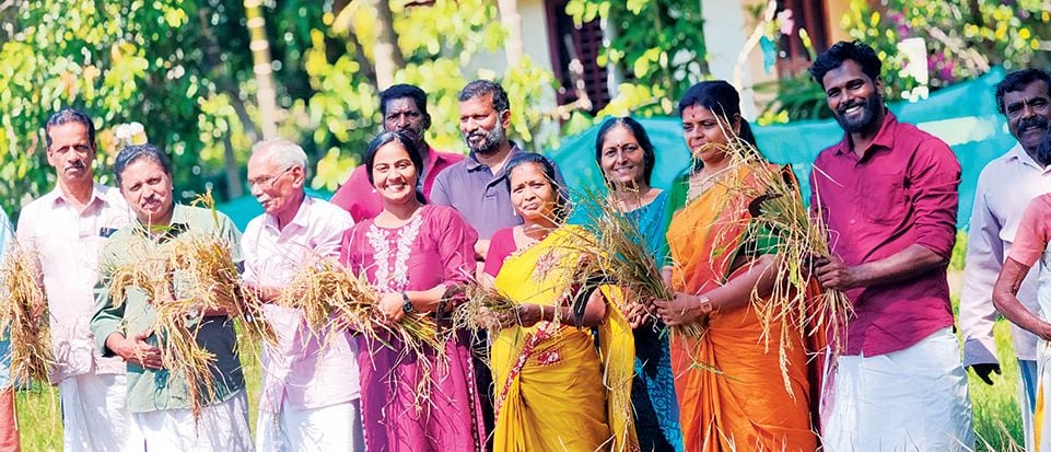 harvest festival