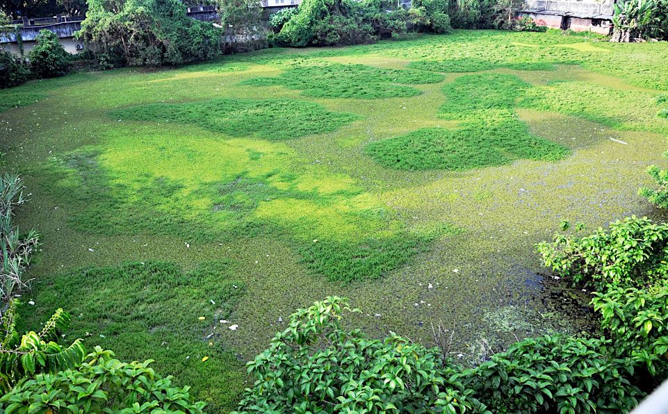 Mavelikkara Valiyakulam