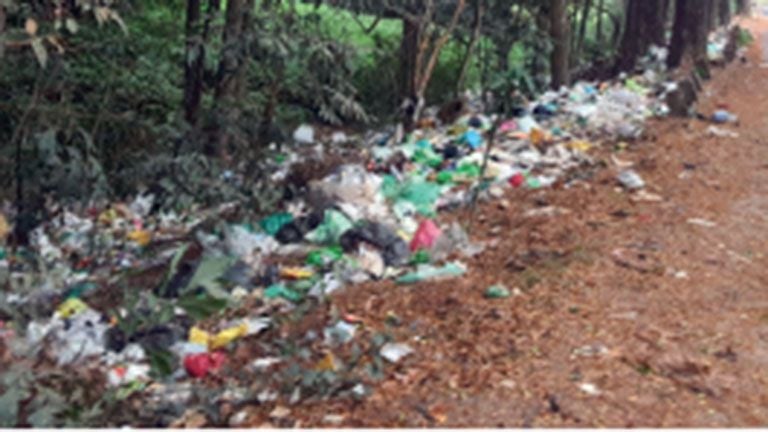 waste