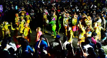 പുലികളിയിൽ നിന്ന്