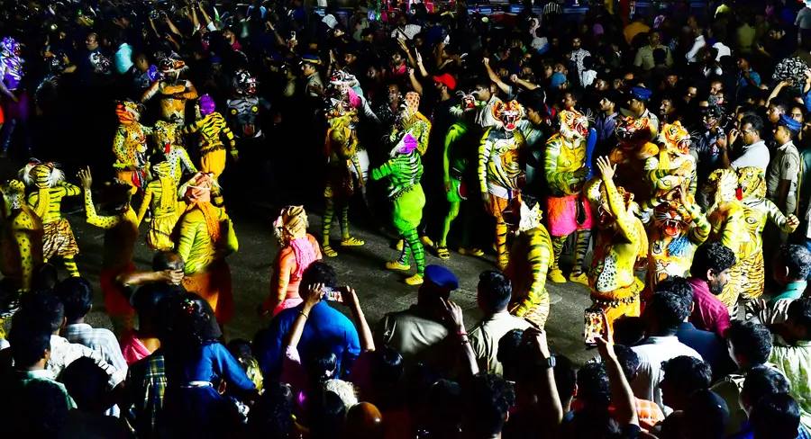 പുലികളിയിൽ നിന്ന്