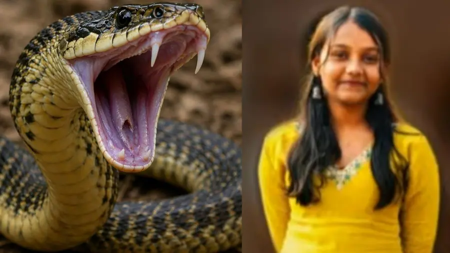 NIYA Snak BITE.jpg