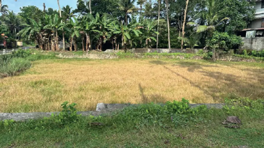 KOOVAPPADY