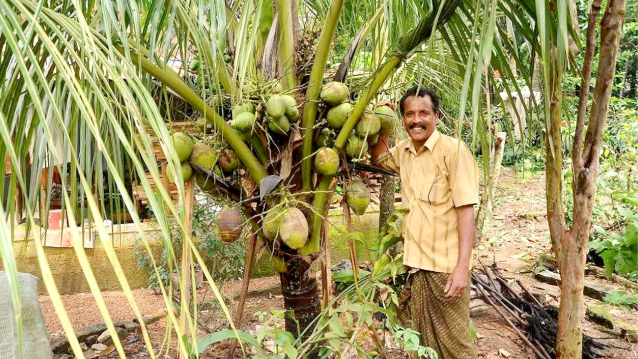 Nalikeram