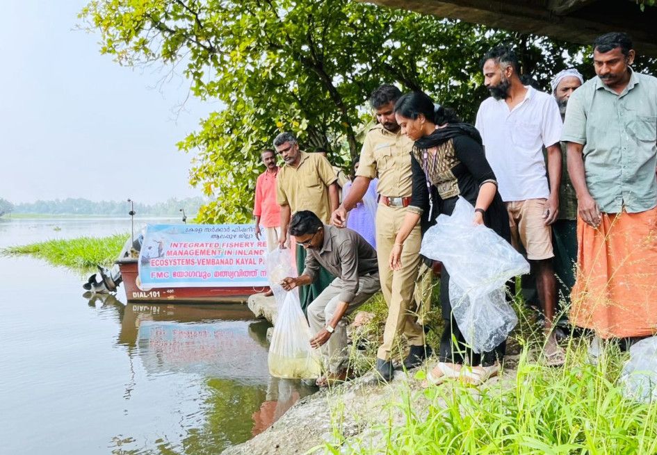 തകഴി  പഞ്ചായത്ത് ബോട്ട് ജെട്ടി കടവില്‍   മത്സ്യക്കുഞ്ഞുങ്ങളെ  നിക്ഷേപിച്ചപ്പോൾ