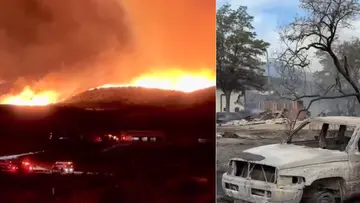 Nevada hawk fire