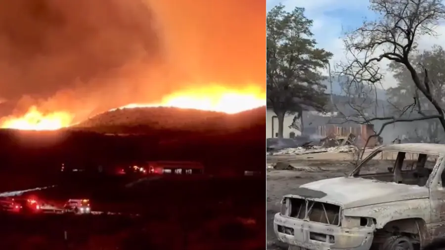 Nevada hawk fire