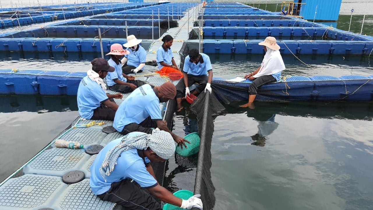 Neyyar fish farming