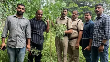 Nilambur ganja