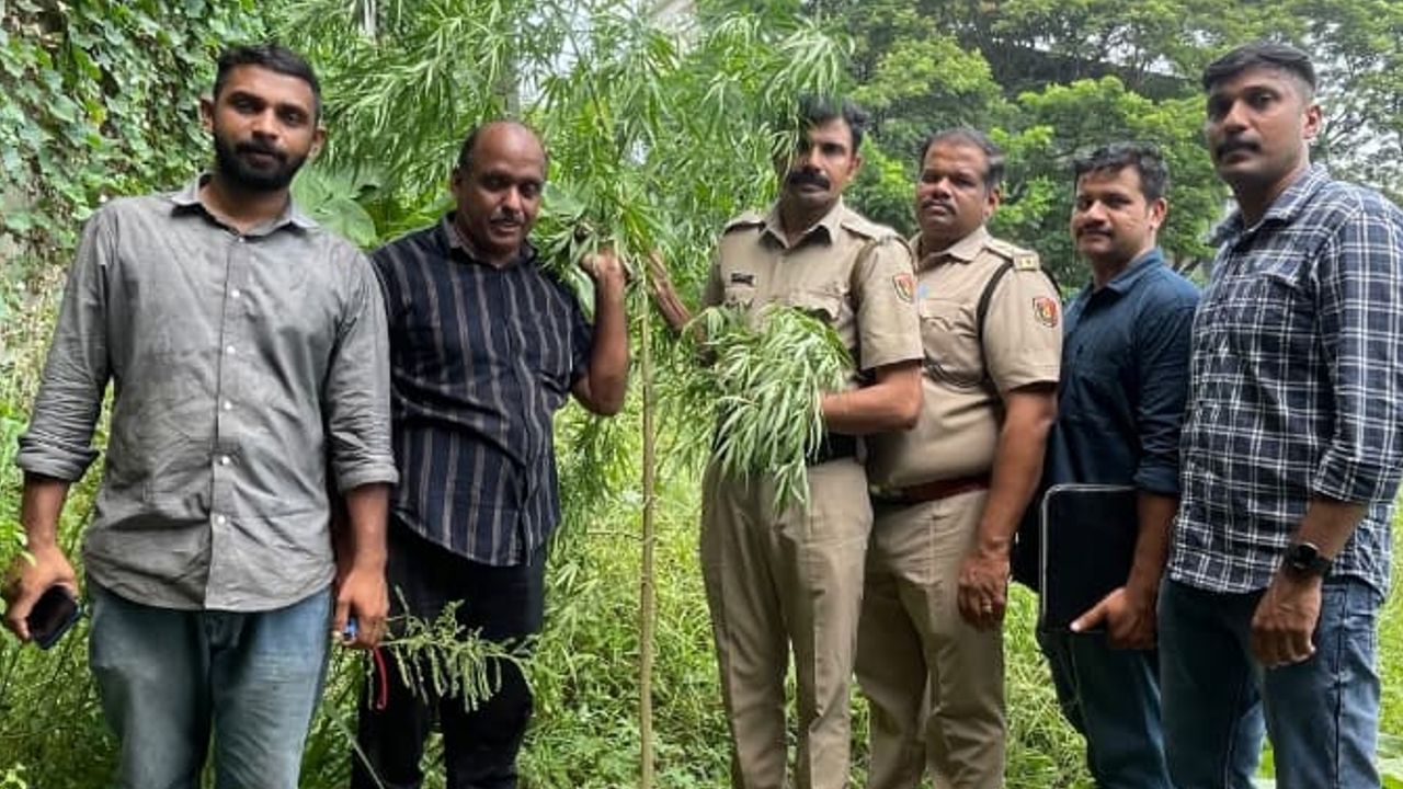 Nilambur ganja