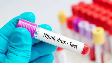 Nipah.jpg