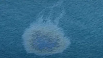 Oil spill