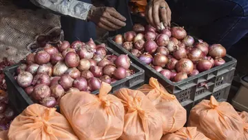 Onion.jpg