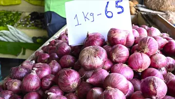 Onion Price