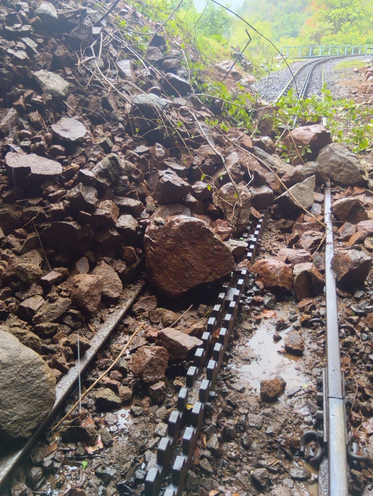Ooty Mountain Railway Services Cancelled 1.jpeg