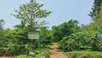PACHATHURUTH